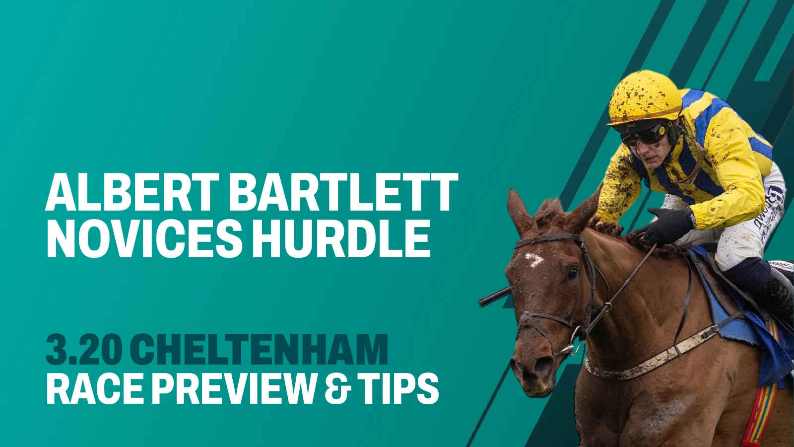 Albert Bartlett Novices' Hurdle - Preview & Tips