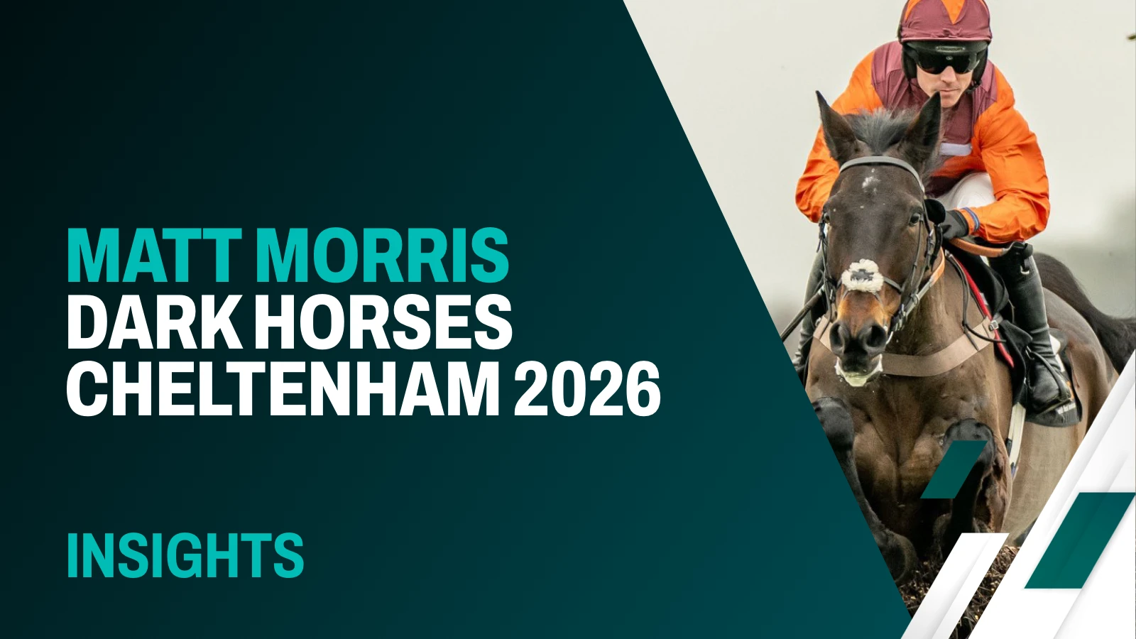 Cheltenham Festival - Dark Horses