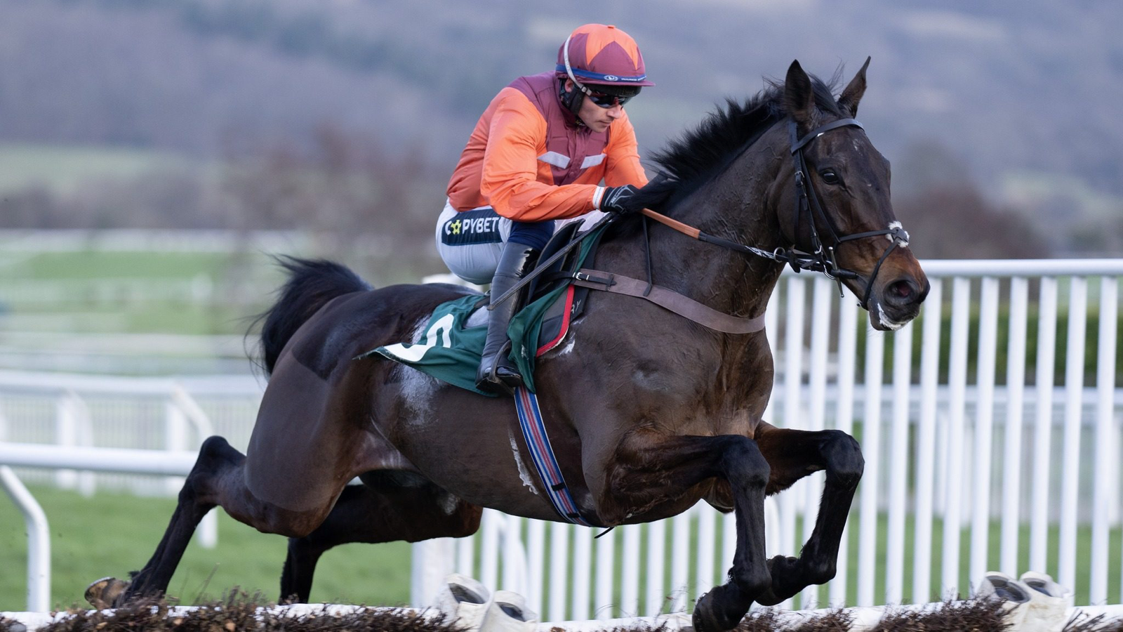 Gidleigh Park is a horse that has all the potential in the world, can he put it all together at Cheltenham?