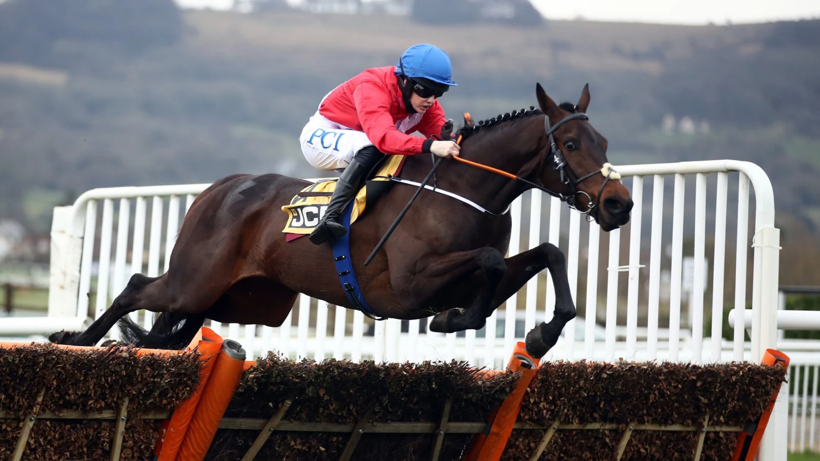 If Quilixios can keep his jumping together he has every chance of winning at Cheltenham.